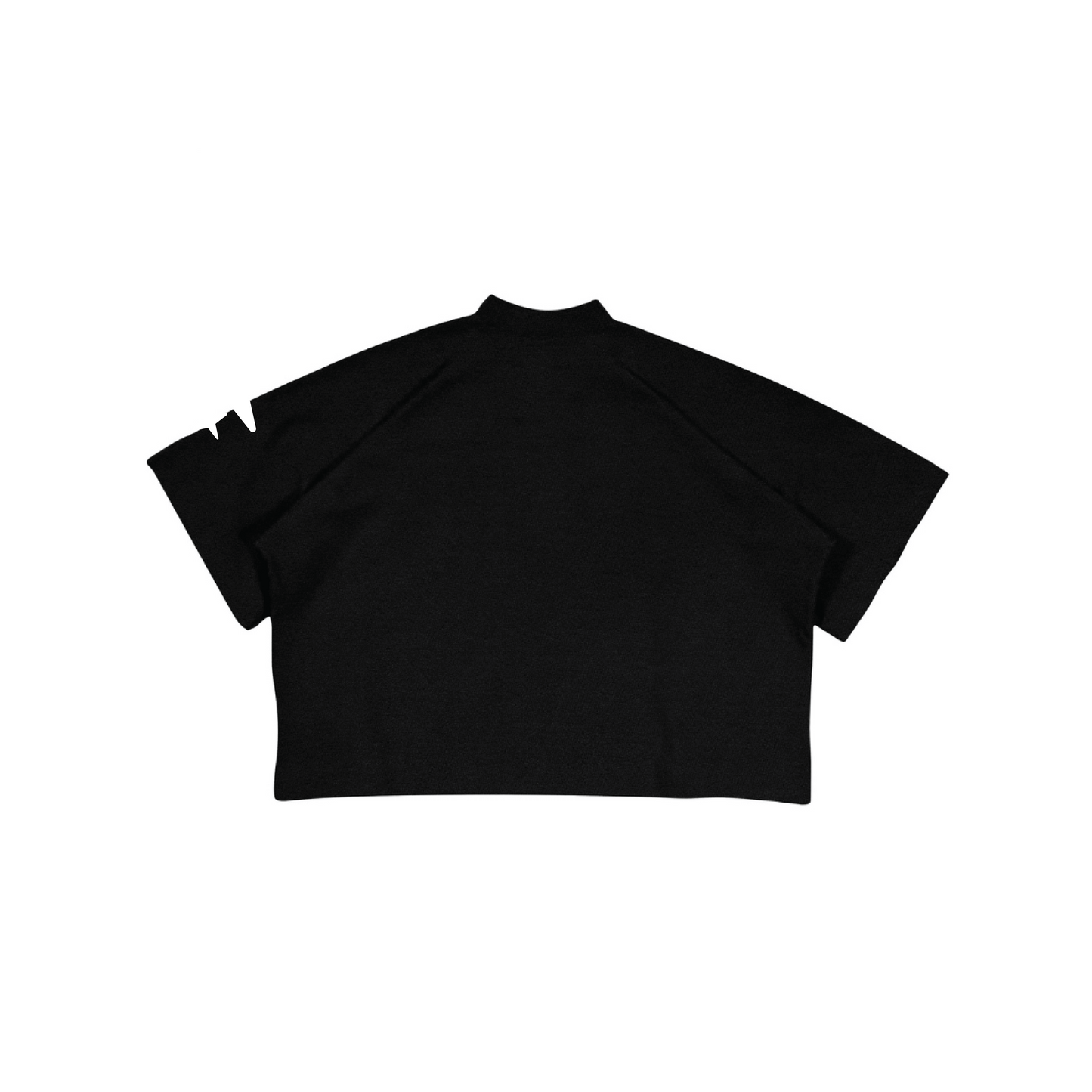 ASTRO WORLD CROPPED TEE